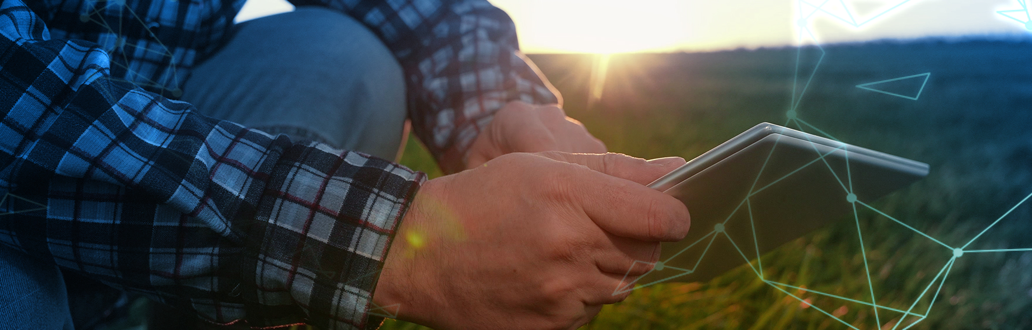 Principais tendências tecnológicas para o agronegócio